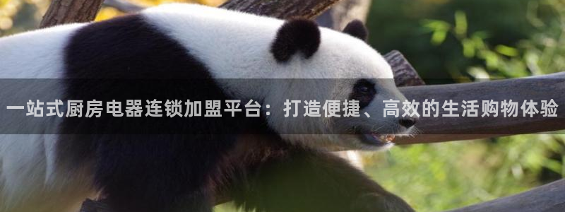 摩登5周7O667
