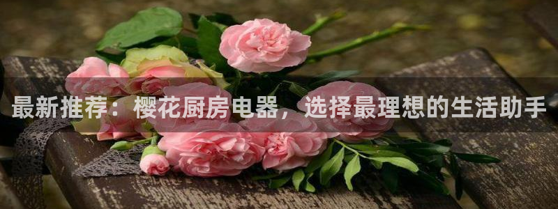 摩登7升