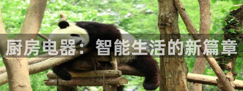 摩登7 平台
