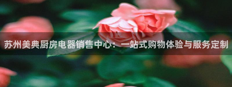 摩登7来宾