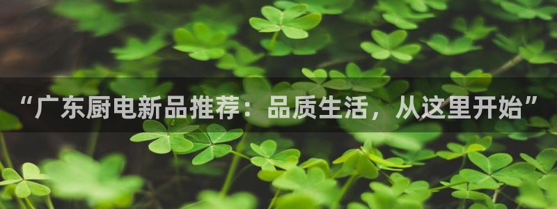 摩登3后7O667