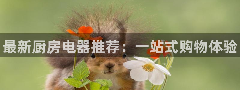 摩登7地址