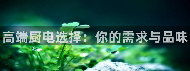 摩登7直属招商