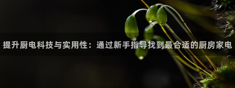 摩登6郑7O667
