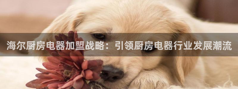 摩登7app官网下载