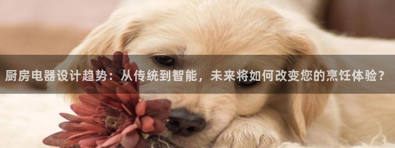 摩登7娱乐