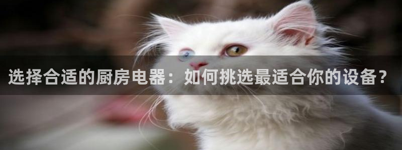 摩登7来宾