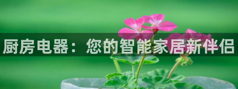 摩登7平台网址