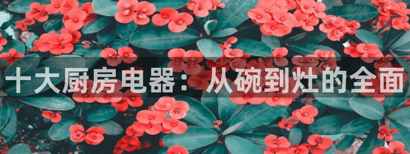摩登7平台总代理