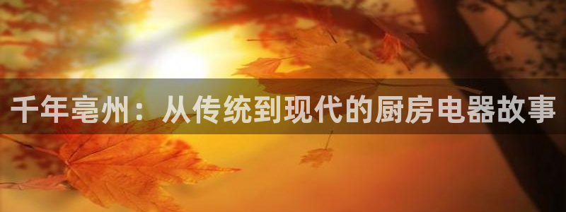 摩登7开户