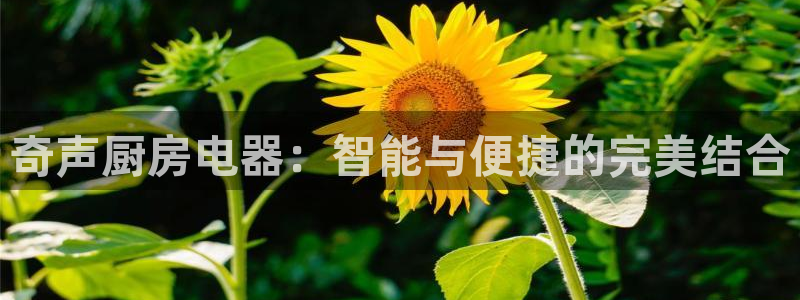 摩登3月7O667