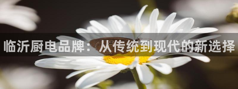 摩登6月7O667
