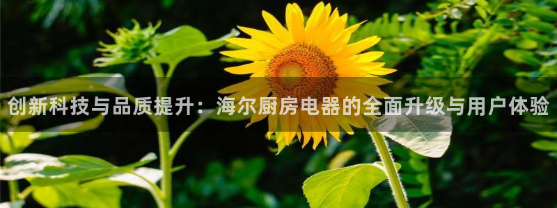 摩登7官方联系方式