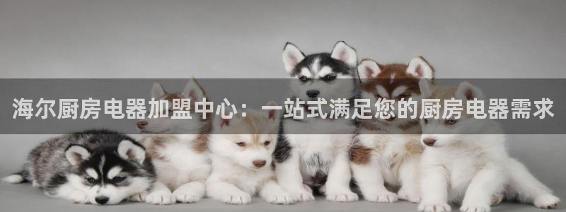 摩登7岁