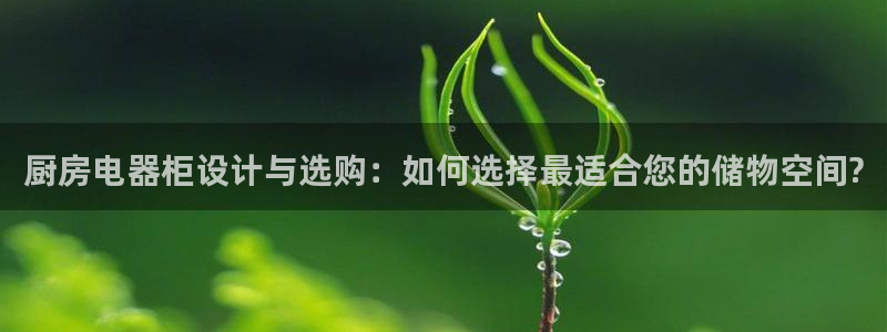 摩登7招商主管
