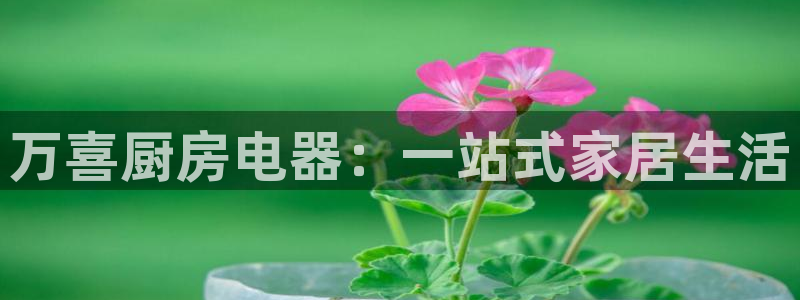摩登7娱乐平台4