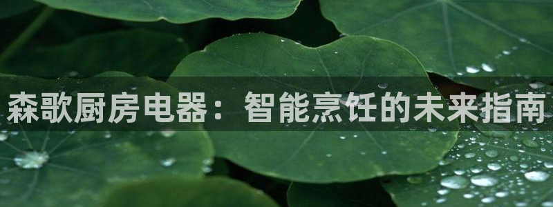 华彩7级摩登