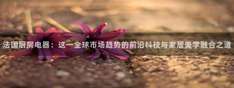 摩登6吕7O667