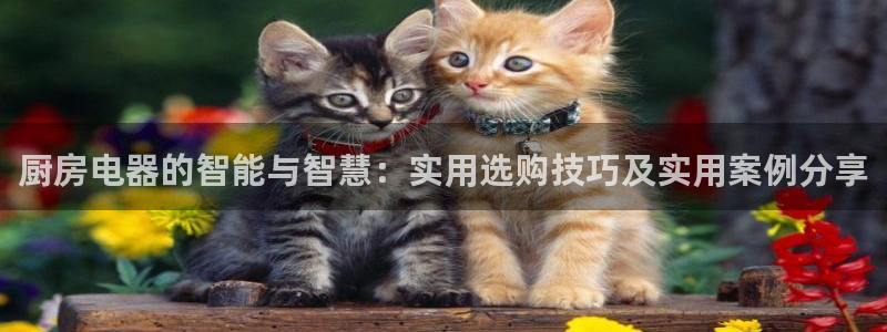 摩登7开户