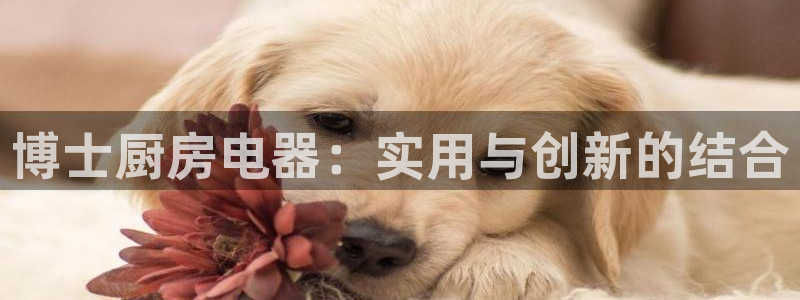 摩登7app下载