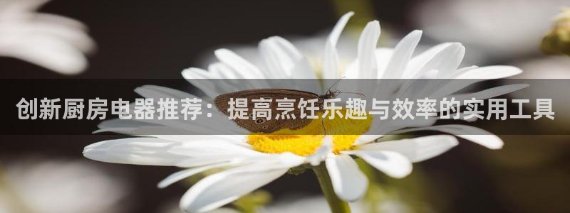 摩登7高管