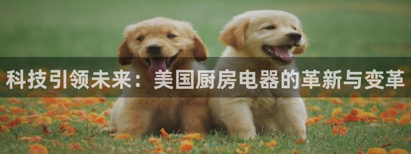 摩登7招商382223
