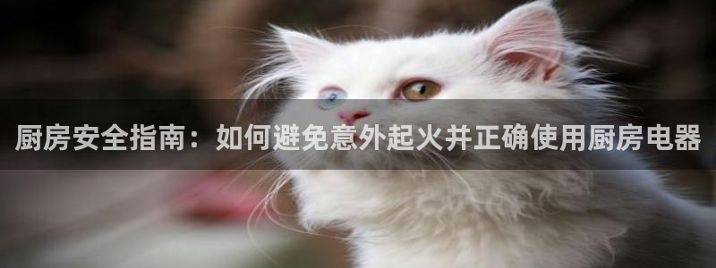 摩登7去3299O7