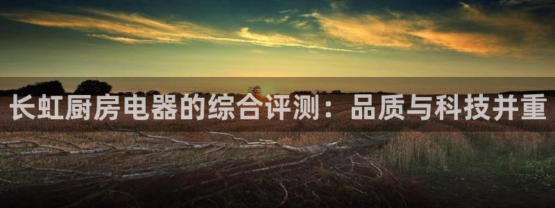 摩登7平台