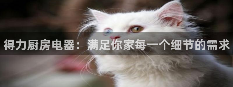 摩登6吕7O667