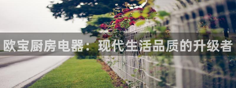 摩登7公司排名
