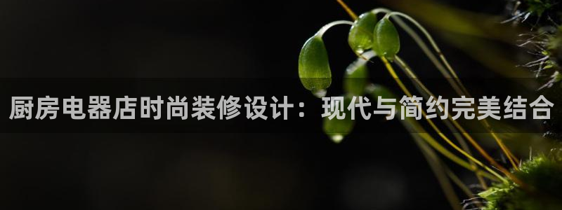 摩登7左3299O7