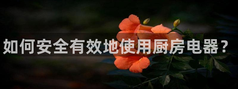 摩登7平台涨7O777