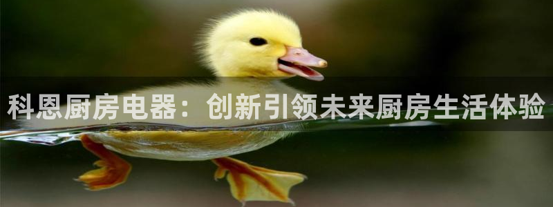 摩登5天7O667