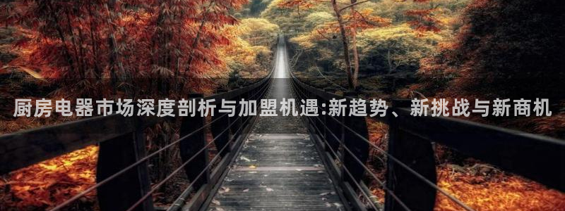 摩登7平台总代理