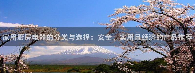 摩登7公司排名