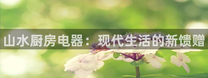 摩登7代理