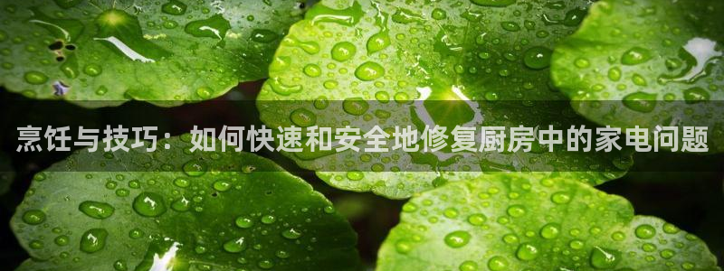 摩登7登陆平台