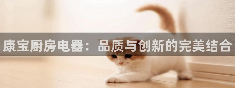 摩登7官网的详细介绍