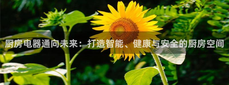 摩登5吕7O667