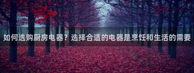 摩登7下载app