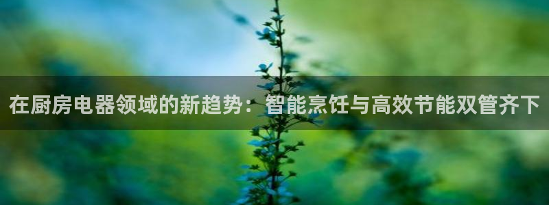 摩登7下载app