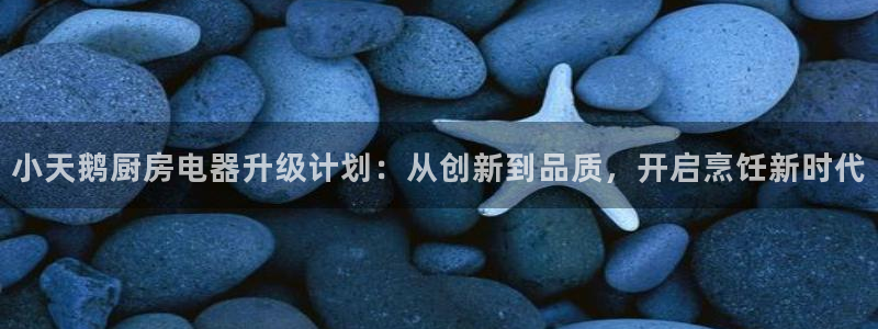 摩登7平台主管