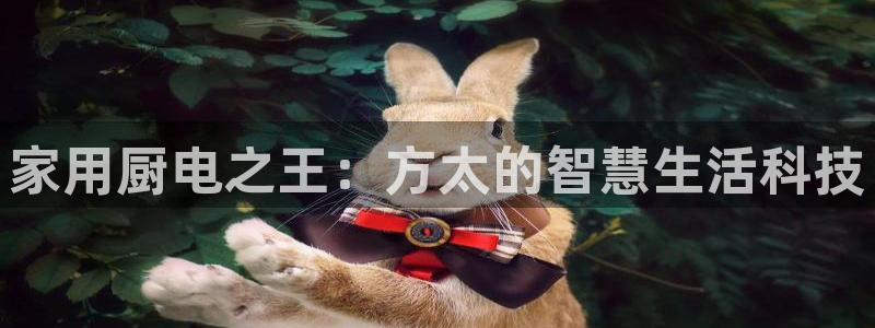 摩登7平台主管