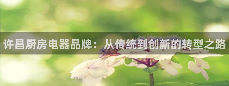 摩登7岁