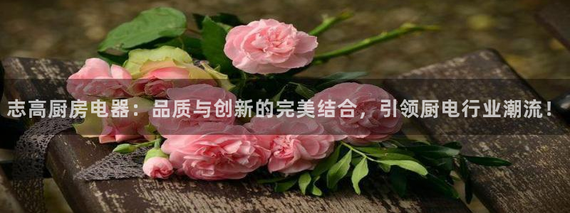 摩登3周这7O667