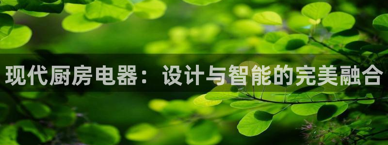 摩登4前7O667