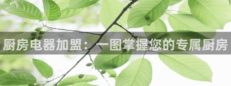 摩登6褚7O667