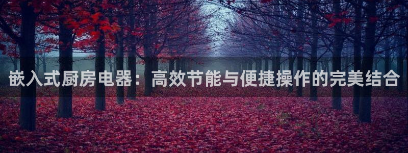 摩登7左7O667