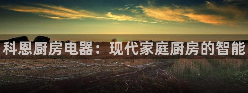摩登4下7O667