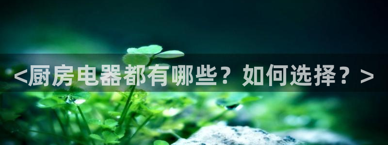 摩登5月7O667